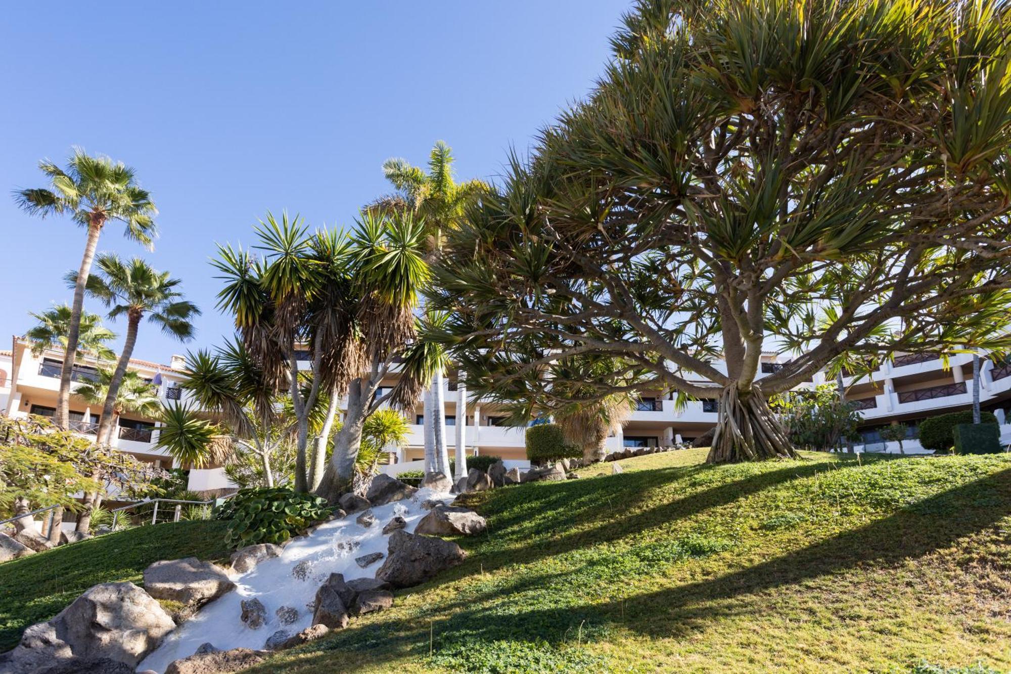 Albatros 433B Holiday Home In Tenerife South San Miguel de Abona Exterior photo